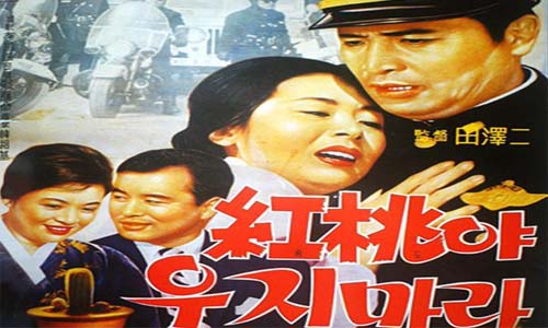 홍도야울지마라 이미지
