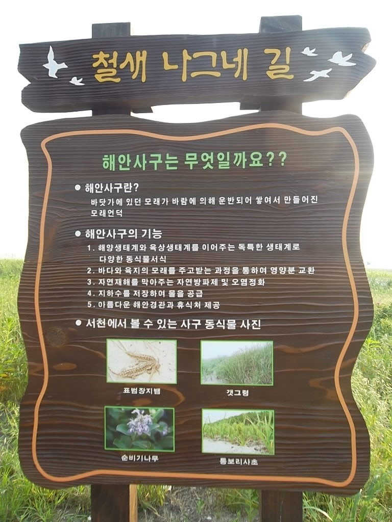 풍경칼국수 이미지