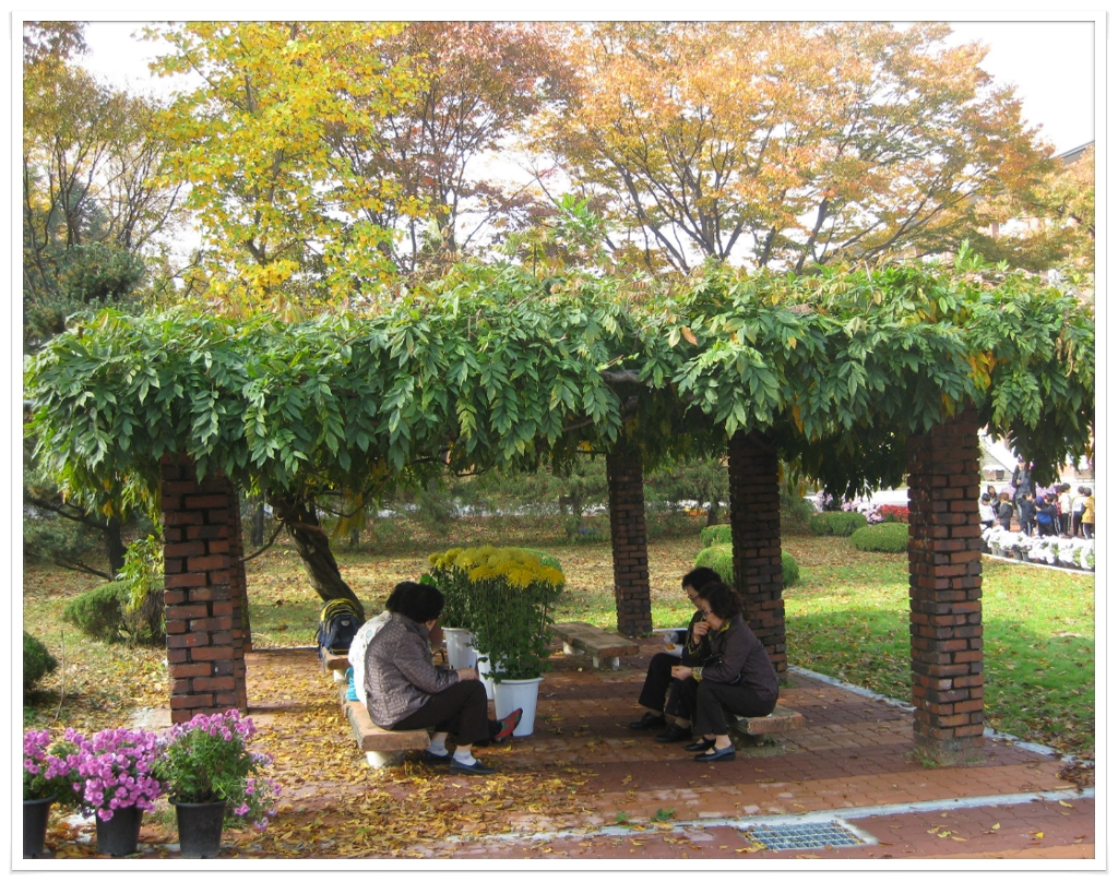 천안연암대학교 이미지