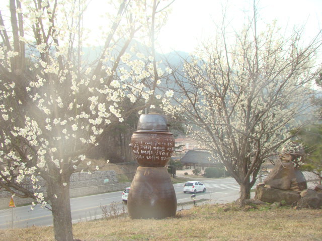 산너머남촌엔 이미지