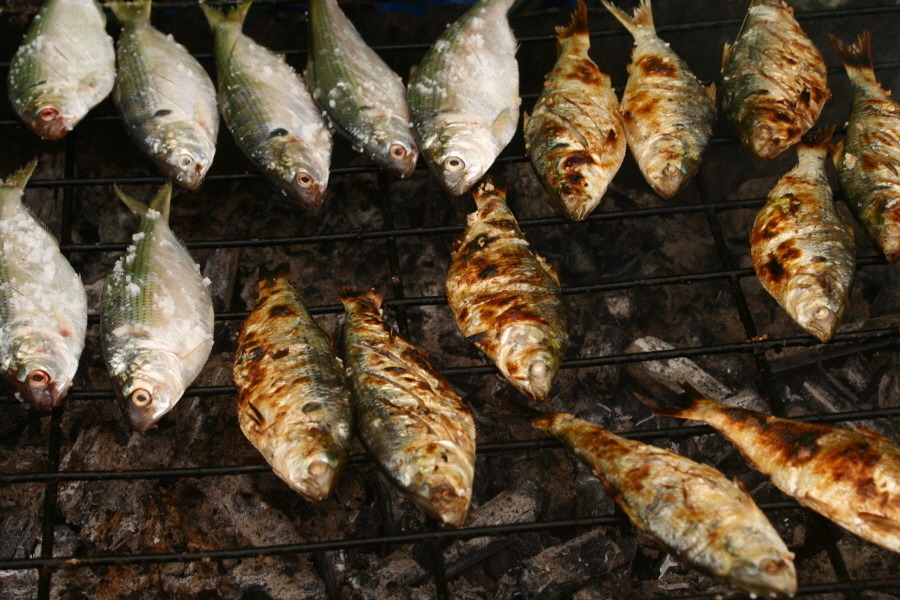 남도마당 이미지