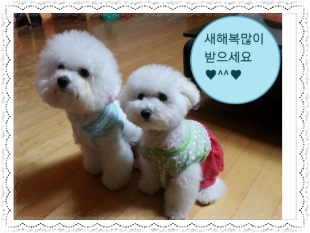 복 이미지