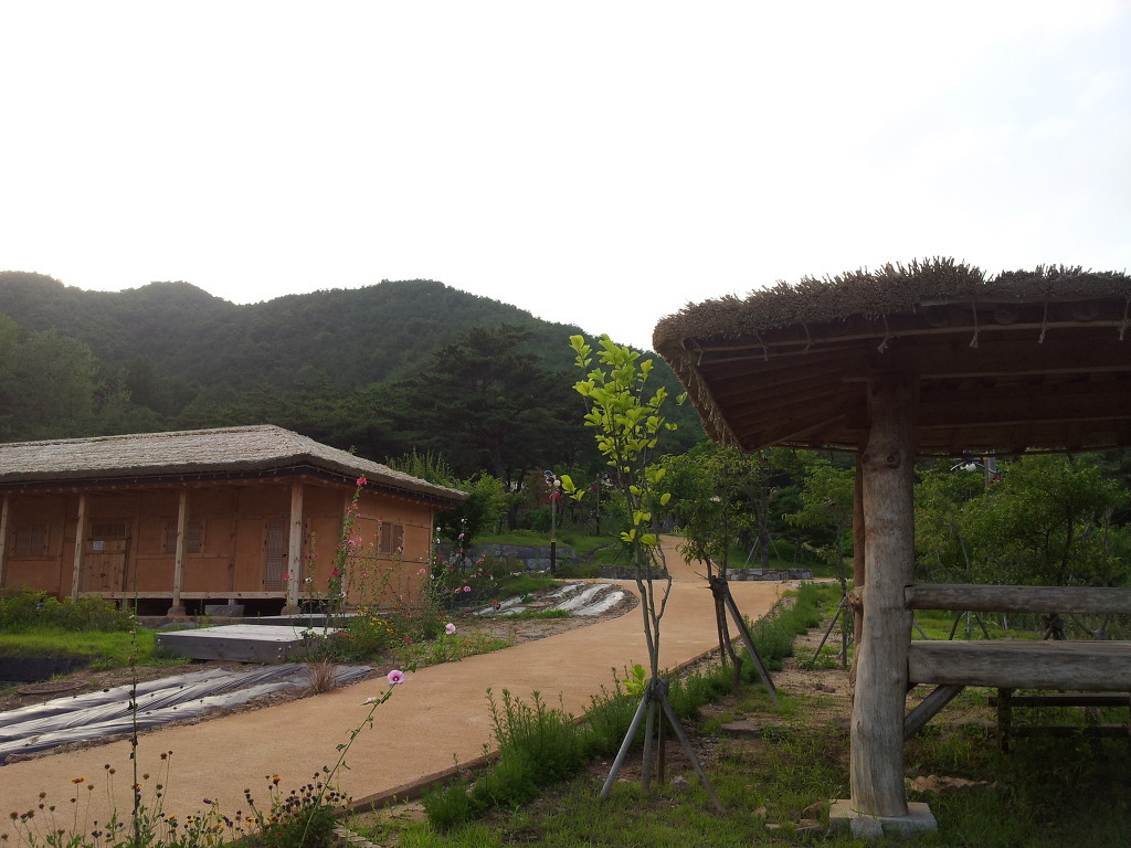 일월산 식품 이미지