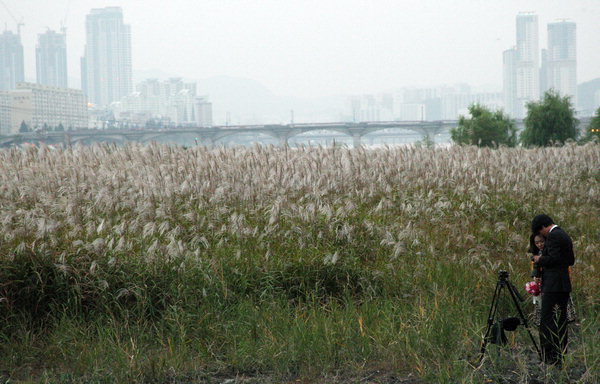 옛날식찻집 이미지