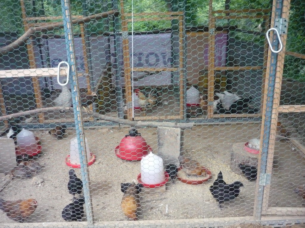 광연 이미지