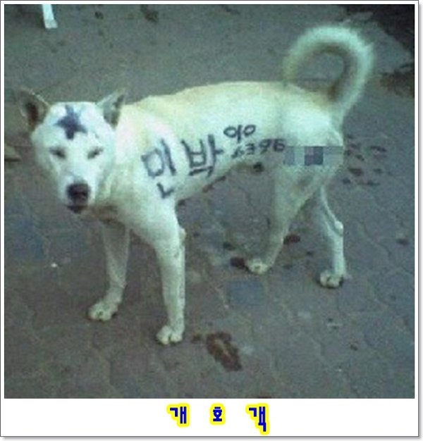 굿아이디어 이미지