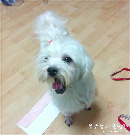 달샘 이미지