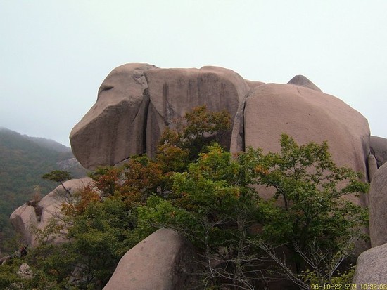 남강식품 이미지