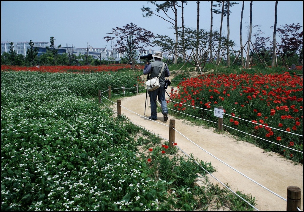 태경 이미지