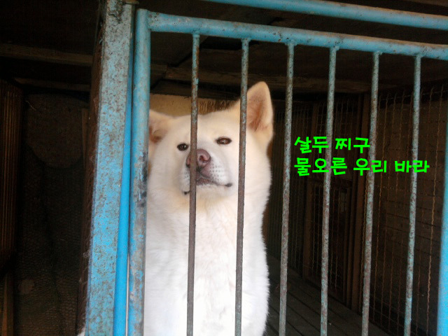 바라 이미지