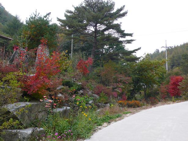 개울건너 이미지