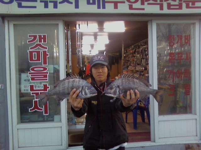 도명 이미지
