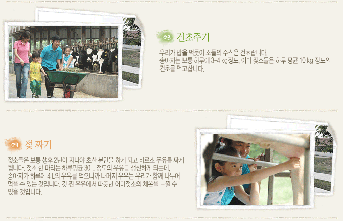 농도원목장 이미지