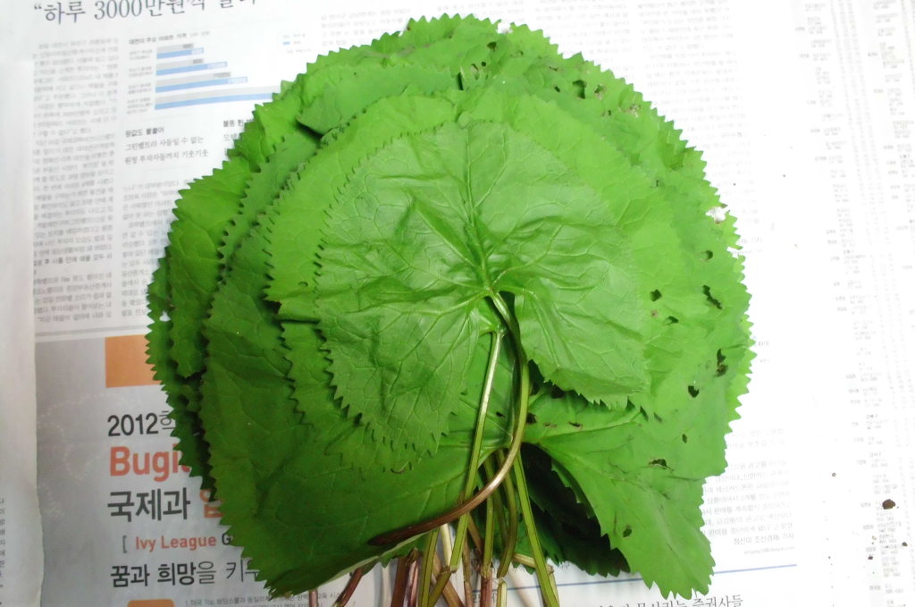 반주종생 이미지