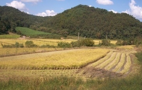 심광택 이미지