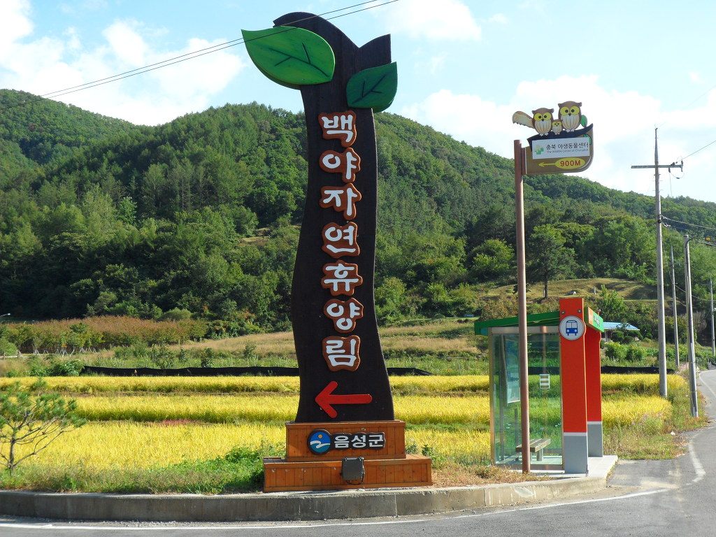 백야자연휴양림 이미지