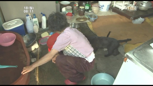 고양이 구박하는 훈할머니.JPG | 인스티즈
