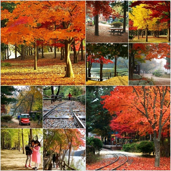 케이와이컴퍼니 이미지