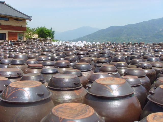 매실농원 이미지