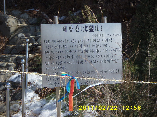 호산삼 이미지