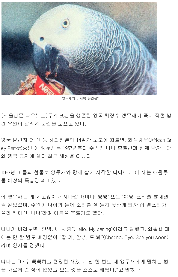 55년 산 英 최장수 앵무새의 마지막 유언 | 인스티즈
