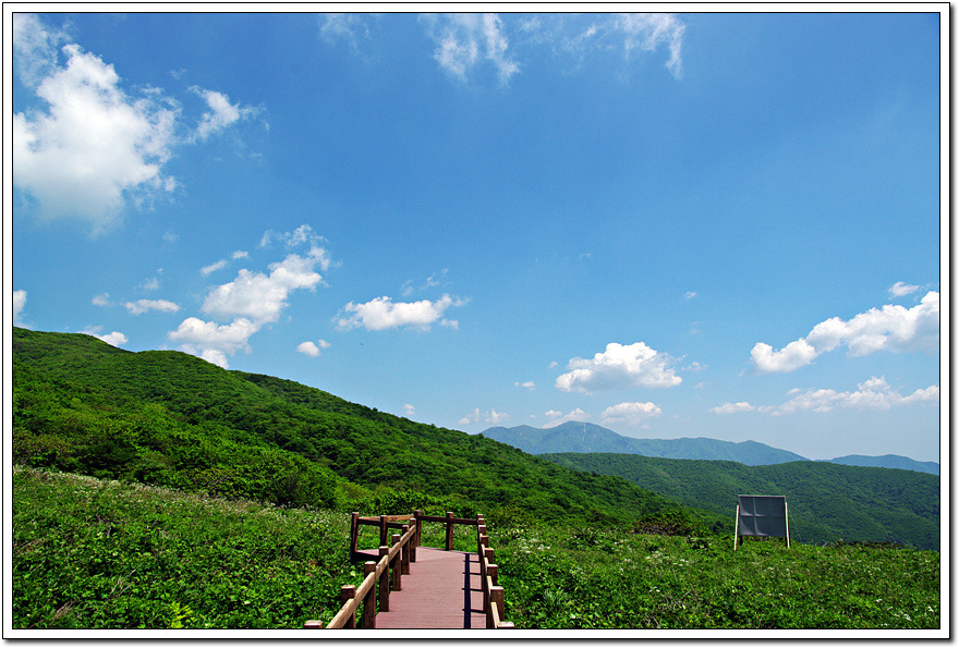 (주)종초원 이미지