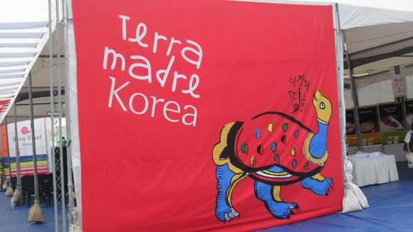 테라마드레 이미지