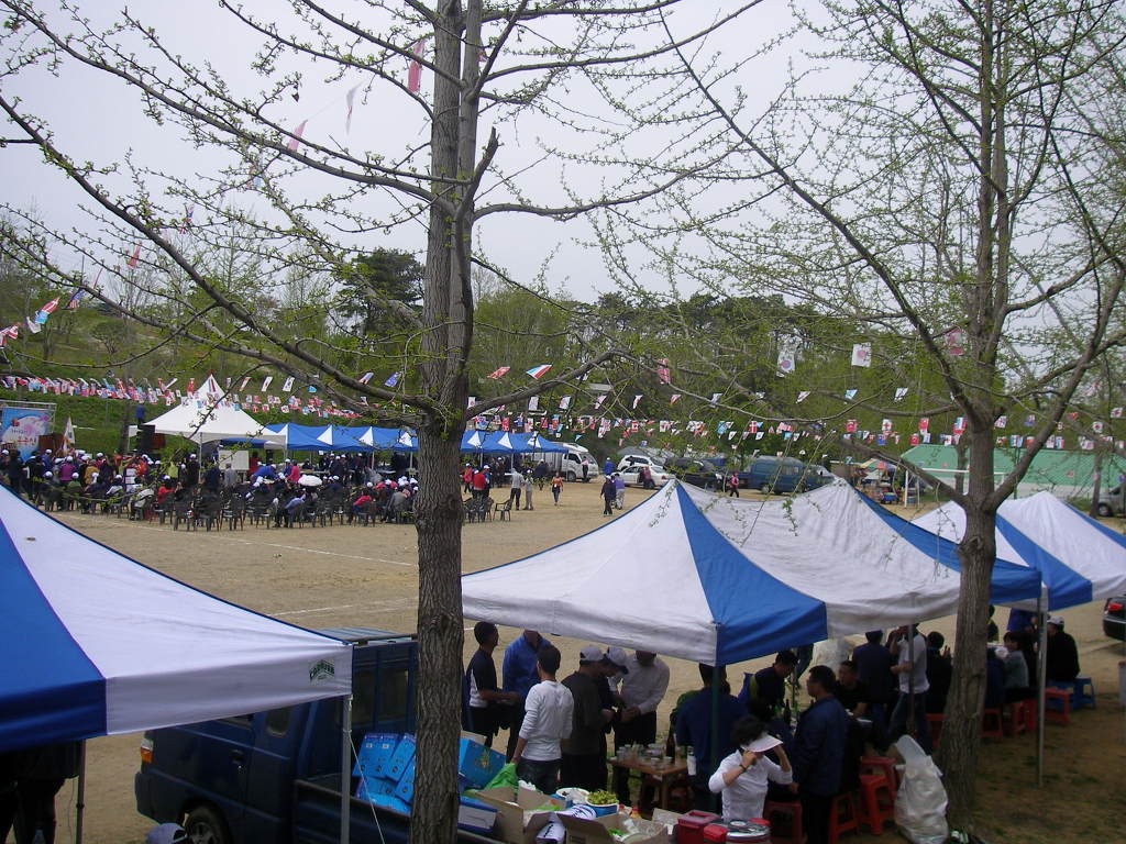 홍동초등학교 이미지