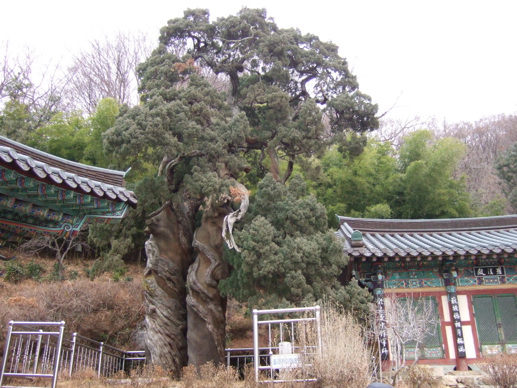 오치골 이미지