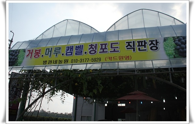 인터넷투어 이미지