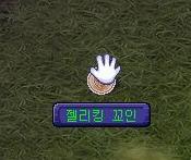 젤리킹 이미지