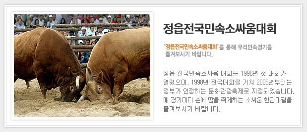 소싸움 이미지