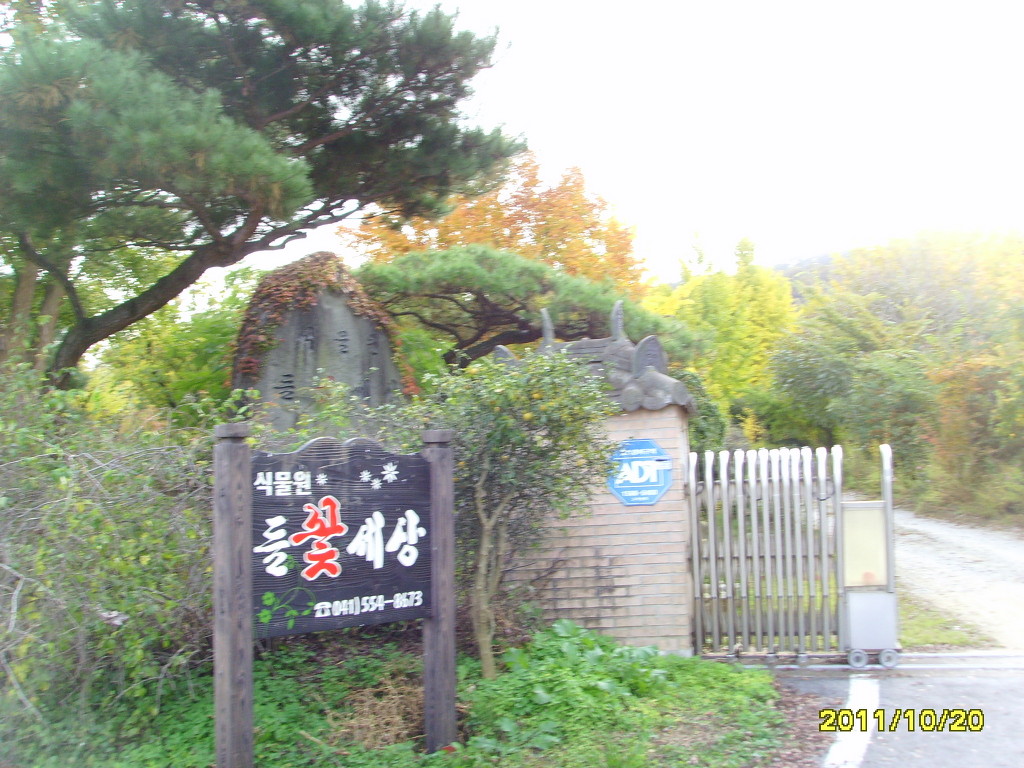 들꽃세상 이미지