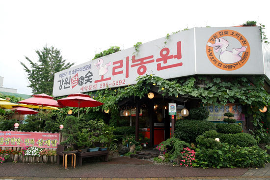 강원농원 이미지