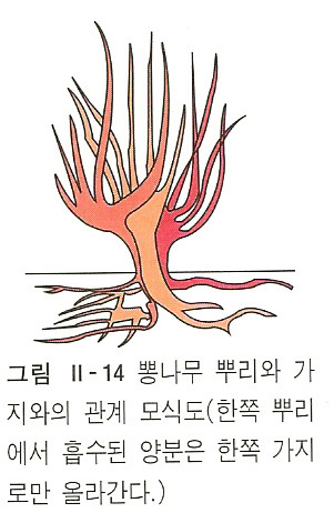 뽕밭2 이미지