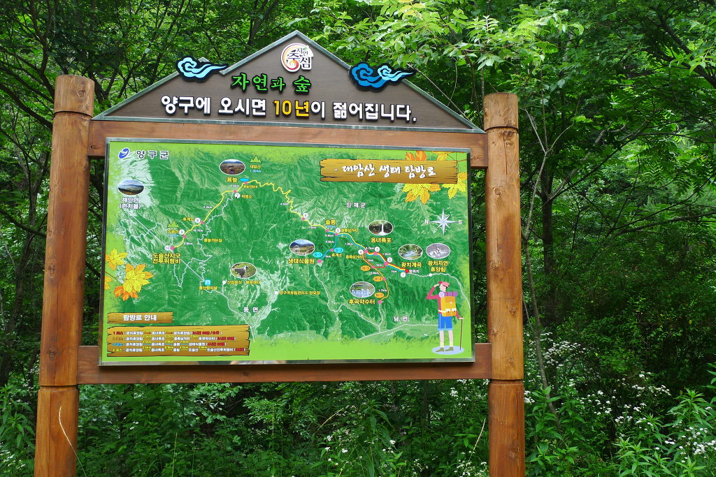 광치 자연휴양림 이미지
