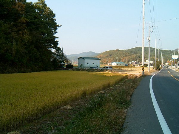 용덕주유소 이미지