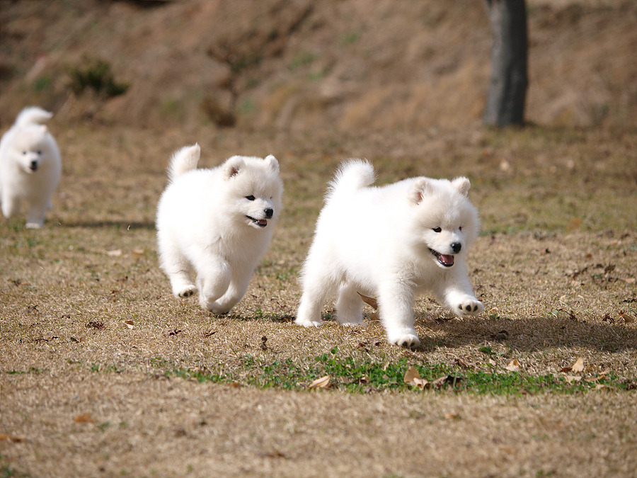 (주)레오인터내셔널 이미지