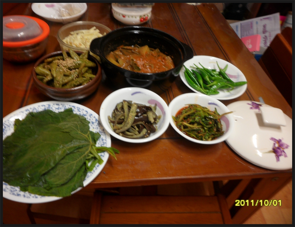 녹색농심인삼마을 이미지