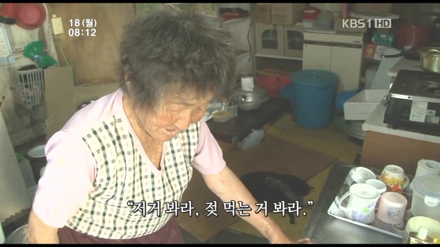 고양이 구박하는 훈할머니.JPG | 인스티즈