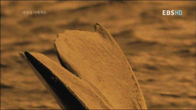 인간을 용서한 고래 | 인스티즈