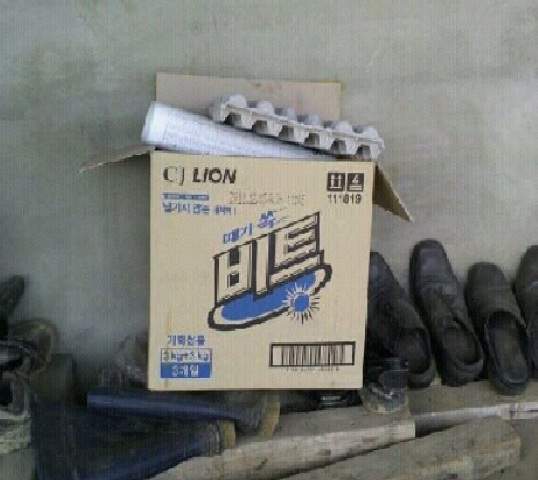 비트박스 이미지
