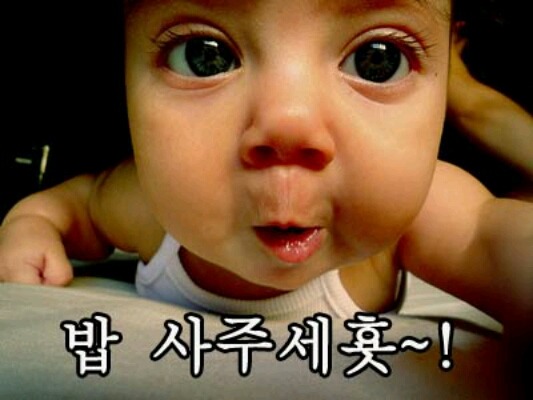 다람 이미지