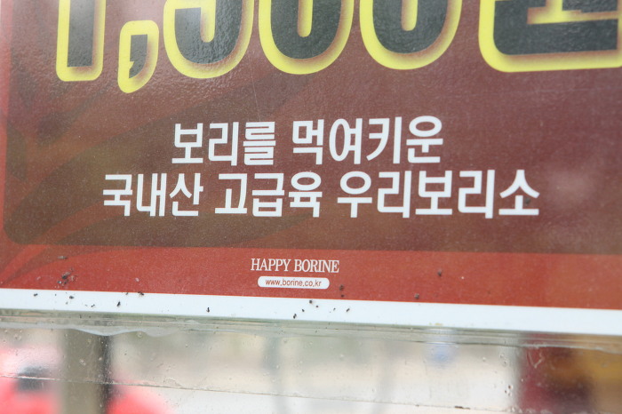 돼지보리네 이미지