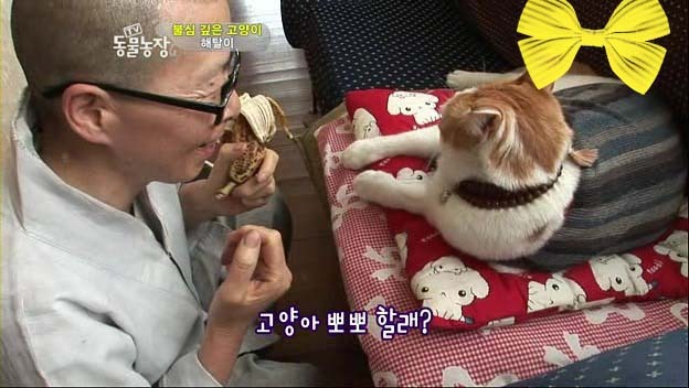 상귀농장 이미지