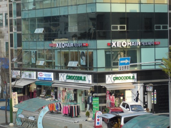 제오 이미지