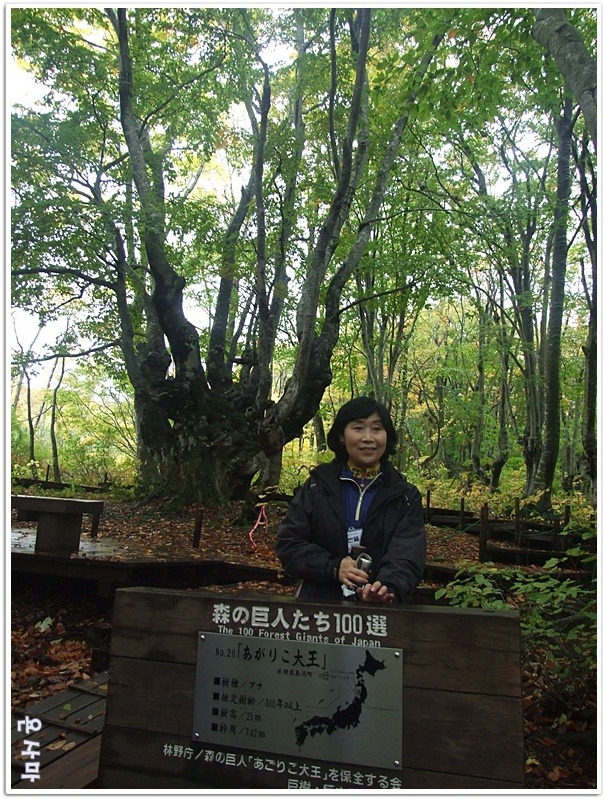 연인과산 이미지