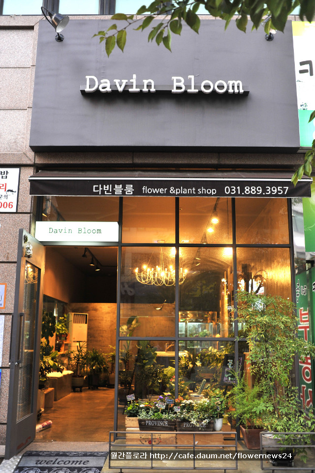 카페다빈 이미지