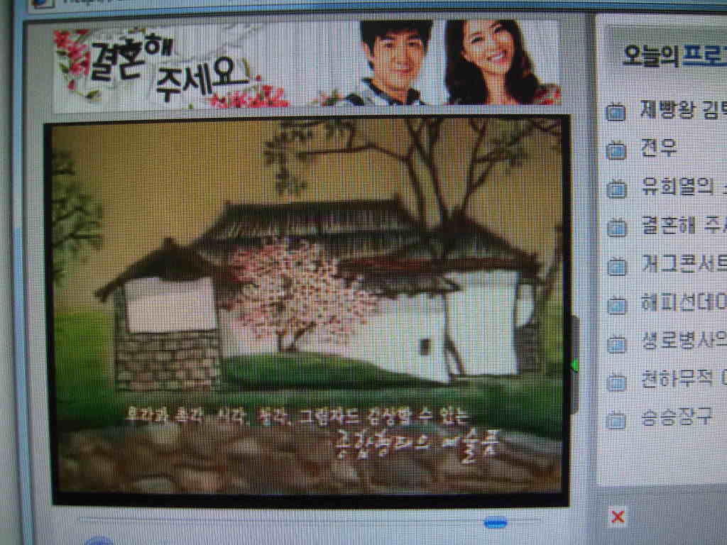 선갤러리 이미지