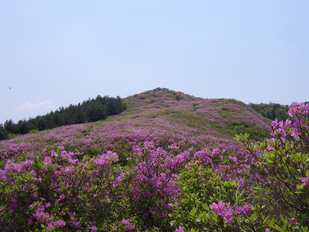 봉화산 이미지